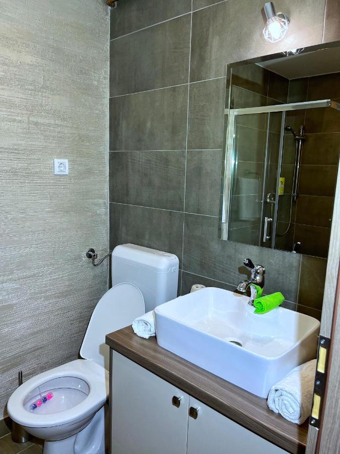 Apartament Nis Pale